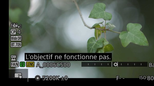 Canon EOS C50 : Elle a tout d’une grande !