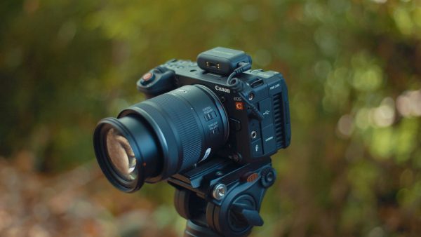 Canon EOS C50 : Elle a tout d’une grande !