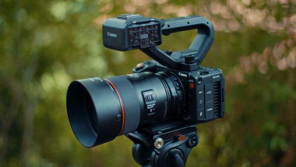 Canon EOS C50 : Elle a tout d’une grande !