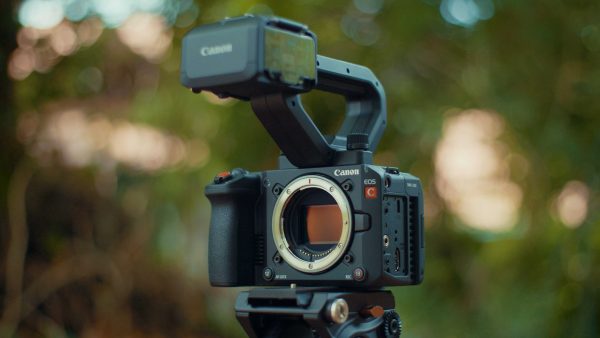 Canon EOS C50 : Elle a tout d’une grande !